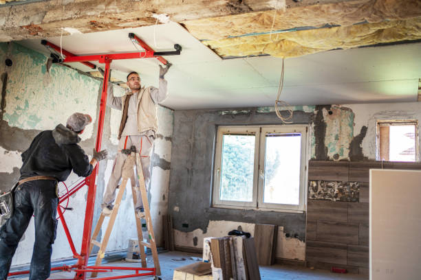 Best Insulation for New Construction  in Brilliant, AL