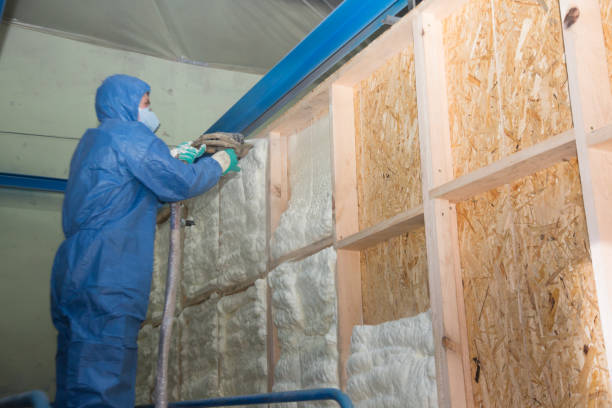Best Insulation Repair Services  in Brilliant, AL